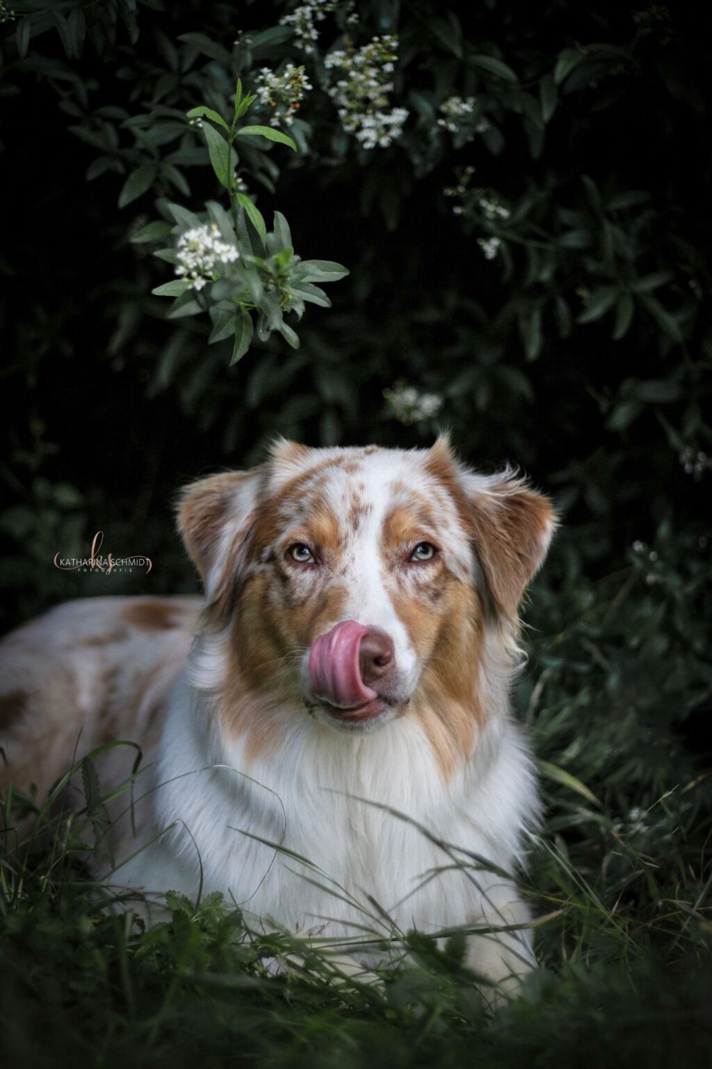 Bambam in der Natur