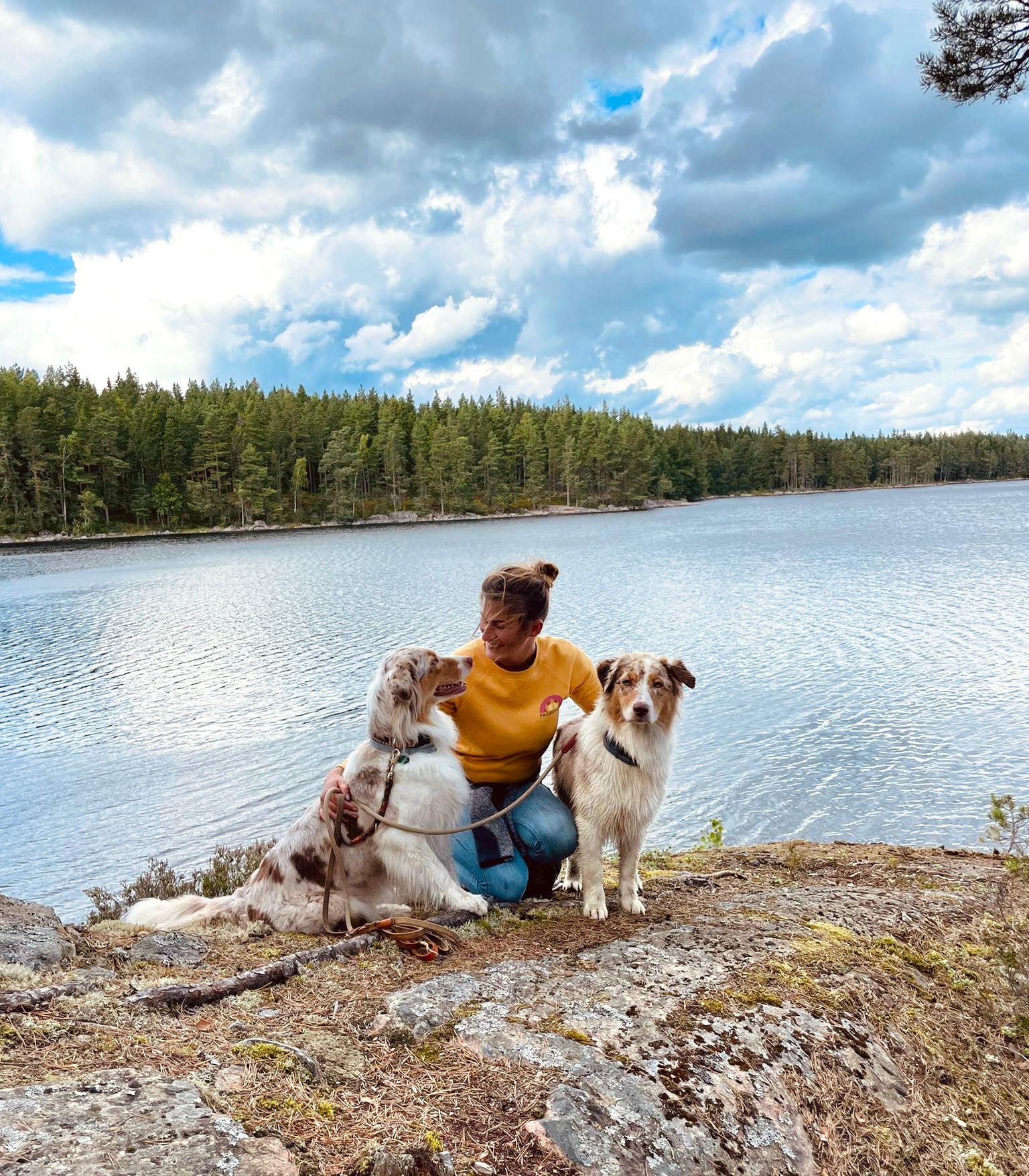 Australian Shepherd bei gemeinsamer Beschäftigung