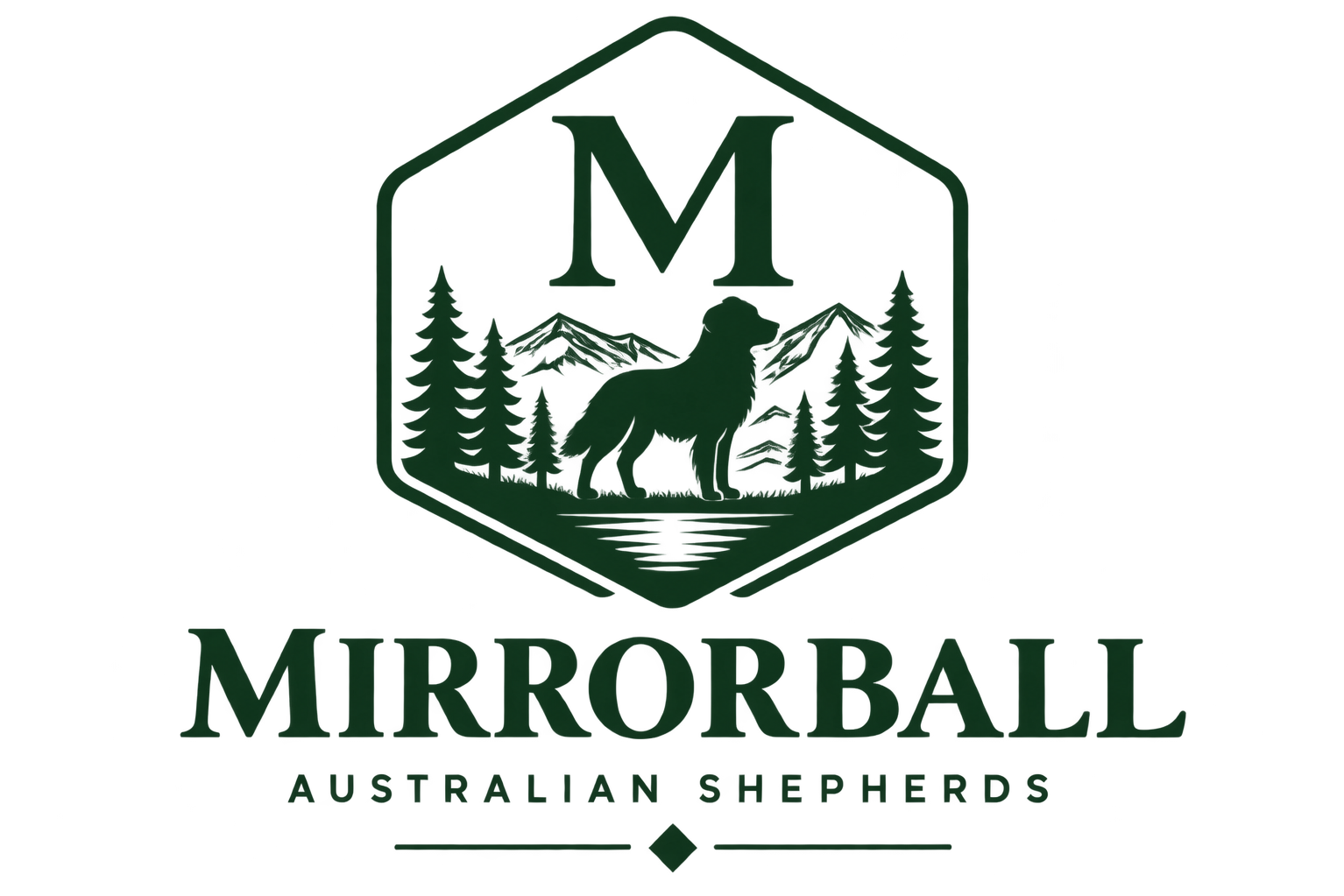 Mirrorball Australian Shepherd